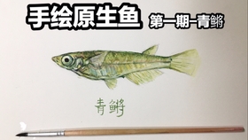 b7454d590dfd550d8c2d53e6a0e126a576fbc15c.jpg@280w_158h_1c_100q.jpg
