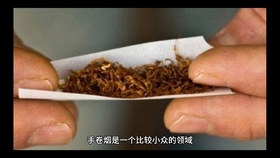 b74a7dccf14b9c7e99651850e2fda8b49c0f31d3.jpg@280w_158h_1c_100q.jpg