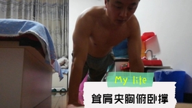 钻石俯卧撑10个什么水平 b74e28afc71b0068d56357205963c48c813dffa0.jpg@280w_158h_1c_100q.jpg