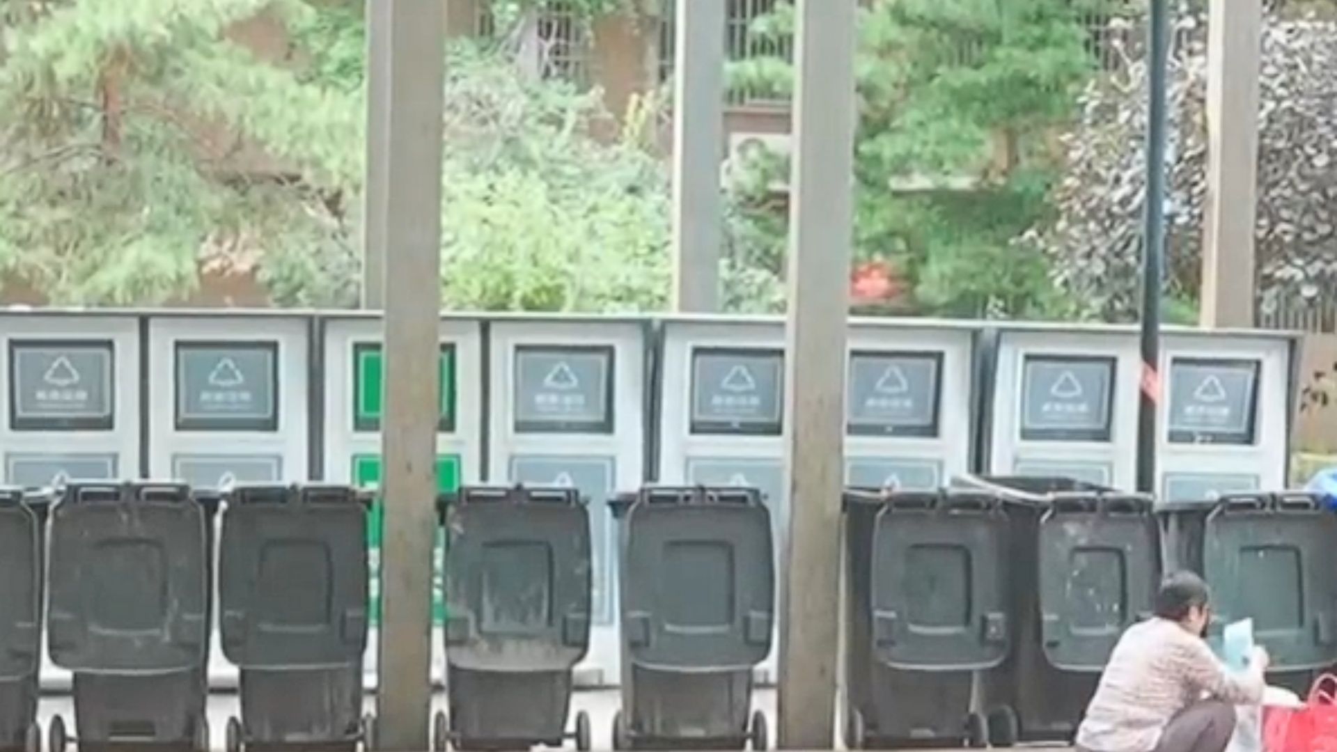 女子开窗就是28个垃圾桶：半年住院两次，都是不明原因细菌过敏