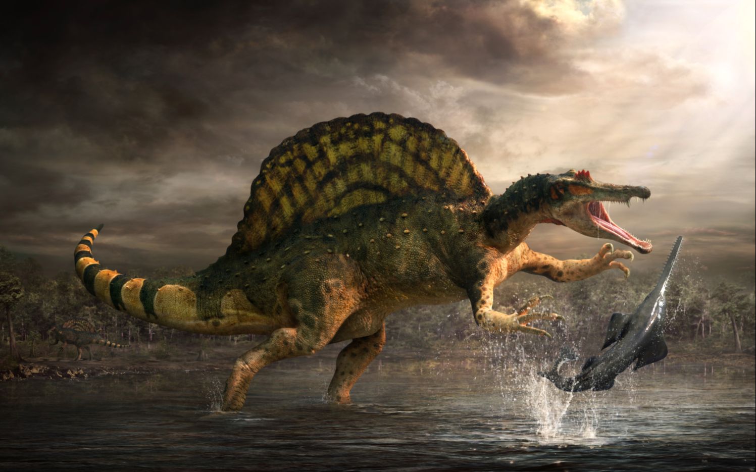 棘龙能打跑鲨齿龙原来是鲨齿龙太弱，吐槽恐龙星球