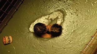 沙漠沙子可以盖房子吗 b7a6053b78746196756bd843e031d7071524ba13.jpg@310w_174h_1c_100q.jpg