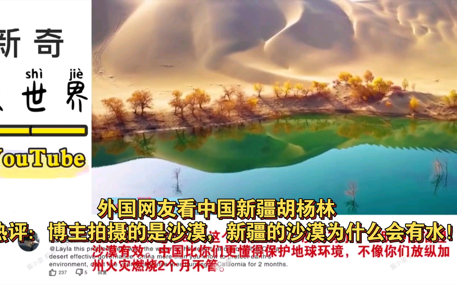 外国网友看中国新疆胡杨林  热评：博主拍摄的是沙漠，新疆的沙漠为什么会有水！