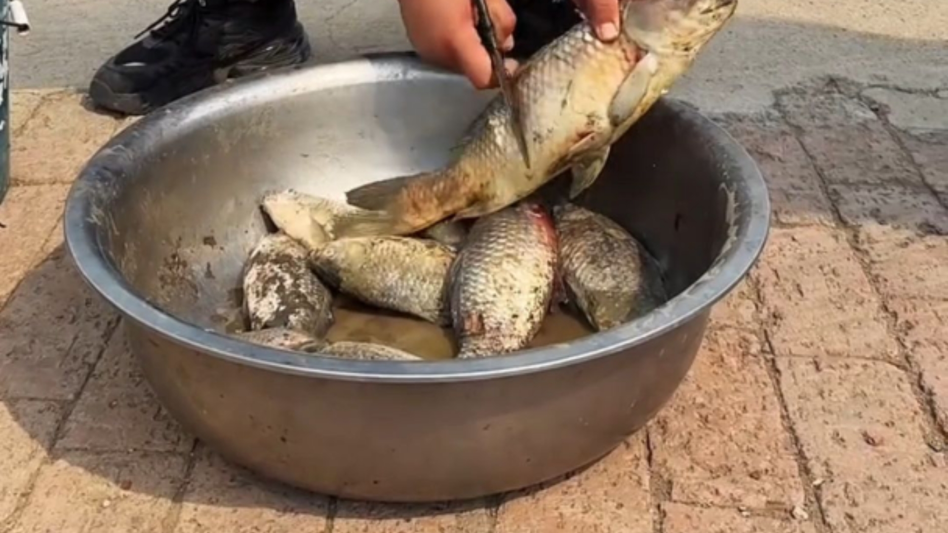 北欧美食TV之冬捕臭鱼&做臭鱼，嘎嘎好吃嘎嘎香就爱这口