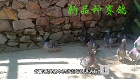 b7b9194df51f66726f58bb5bf44e10eb4519ad16.jpg@280w_158h_1c_100q.jpg