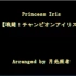 【口袋妖怪BGM arrange】Princess Iris（BW2冠军曲）