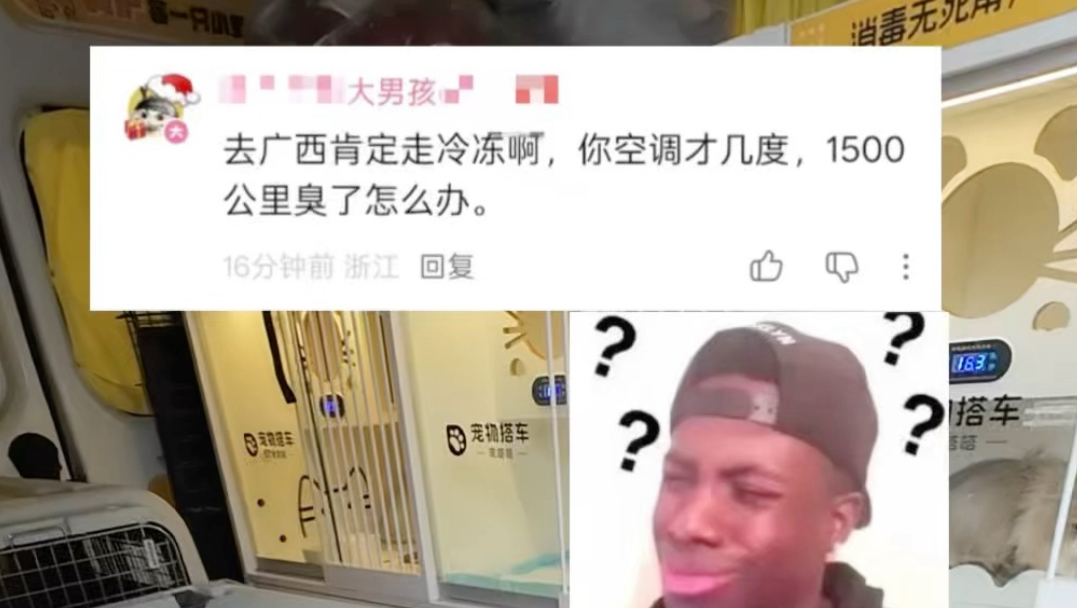 广西咋了？为啥冷冻，我们宠物托运包活不包鲜啊