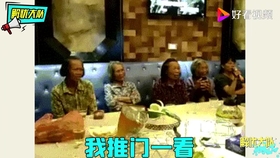 翻译中文之后很火的英文歌 b7d838112147fc3e75837df8bfca5723656ef720.jpg@280w_158h_1c_100q.jpg