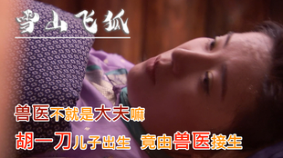 b7eb0a95fe55fbf2b0422f7f693ab9801a8fda21.jpg@310w_174h_1c_100q.jpg