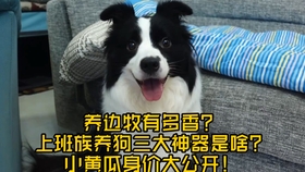 b7f1368376af06f6d8f2fc194e0f8b82ea491cb1.jpg@280w_158h_1c_100q.jpg