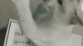 b7f13cd098ecadf75245598959a5bc6a384a4d30.jpg@280w_158h_1c_100q.jpg