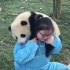 熊猫搞笑视频合集4