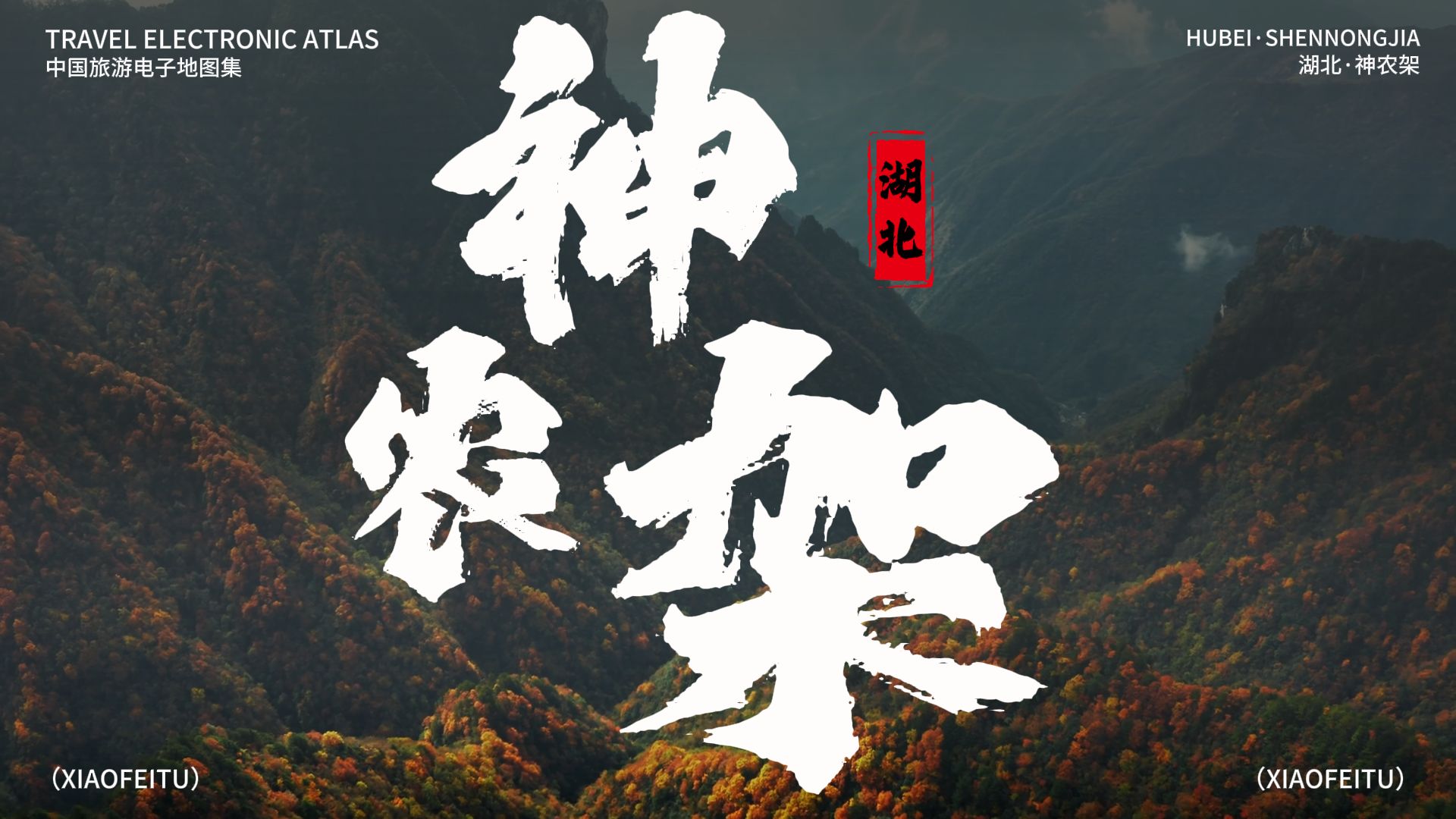 神农架游玩硬核指南：含大九湖最新开放情况，住玩行全解析