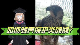 b81f9c70673403188406b3a85921f8fb6e3b7583.jpg@280w_158h_1c_100q.jpg