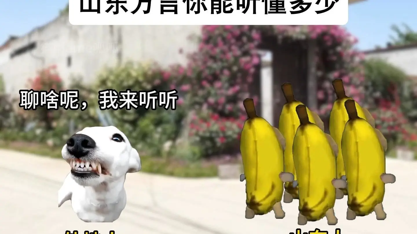 《山东方言你能听懂多少》