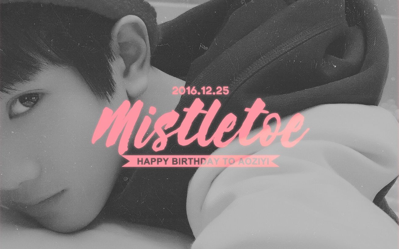 【敖子逸1225生日贺频】mistletoe