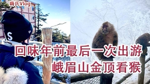 b8503a3d63f13cb1748b28f88dc4be43f640388f.jpg@310w_174h_1c_100q.jpg