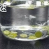 【生化实验】植物行光合作用释放氧气使叶锭浮出水面 全过程