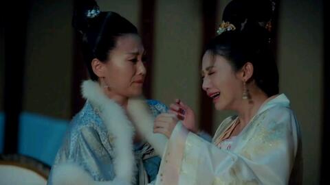蒲剧电影大全高清完整版,蒲剧电影大全高清完整版播放
