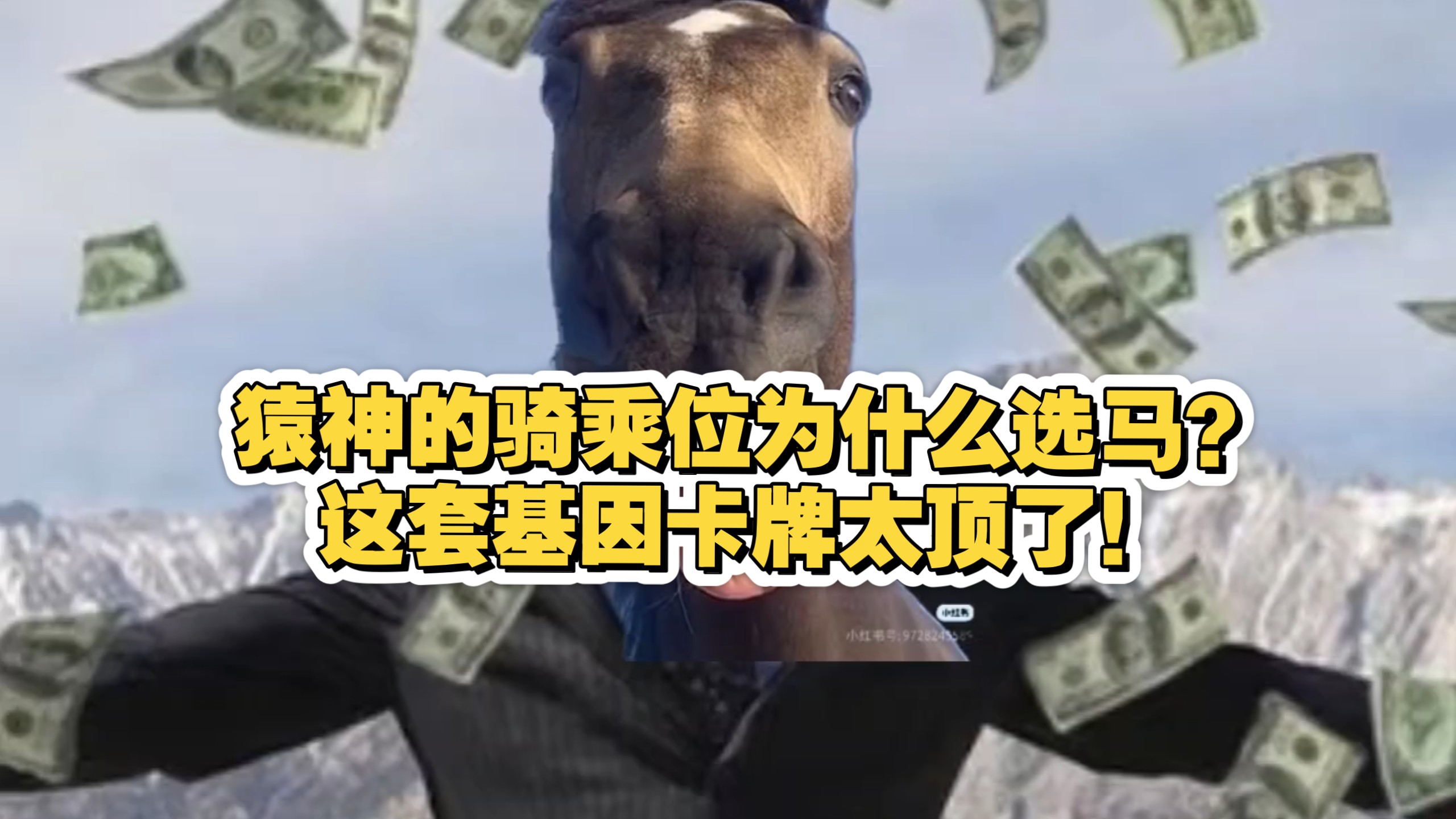 猿神的骑乘位为什么选马？因为这套基因卡牌实在太顶了！