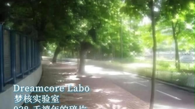 【梦核实验室】038-千禧年的记忆碎片-我们已经到达了，很久很久的以后