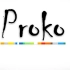 Proko绘画基础教程