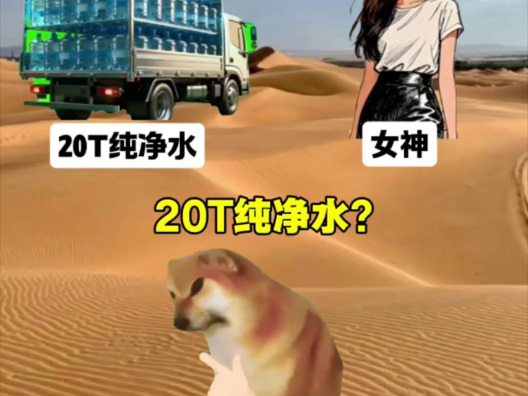 沙漠极限二选一