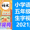 五年级语文 下册  人教版 语文 5年级 下册  语文生字    统编版 写字生字 五年级生字  部编版