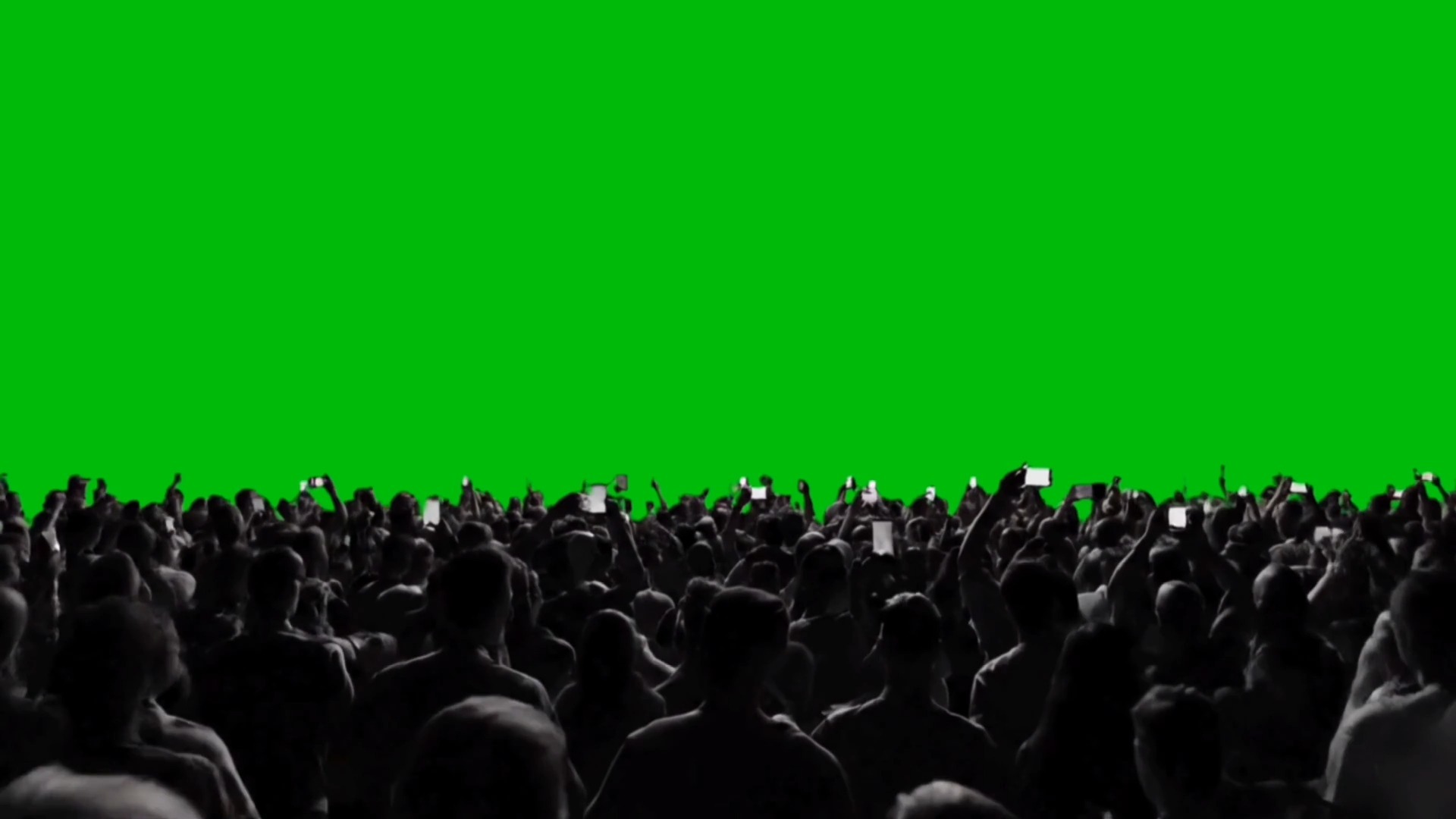 绿幕视频素材欢呼人群
