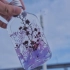 【浮游花视频教程】DIY制作一瓶浮游花，延长植物的美好期限