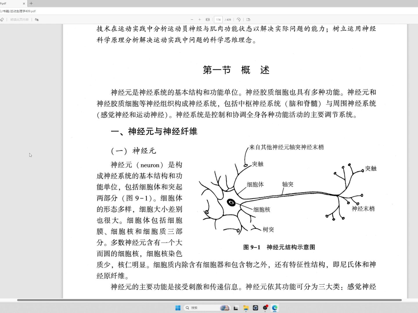 运动生理学 王瑞元版（整书更新）第九章 运动与神经系统（第6版）