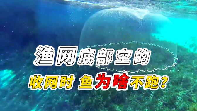 渔网底部是空的，为什么收网时鱼不跑？渔网捕鱼的原理！
