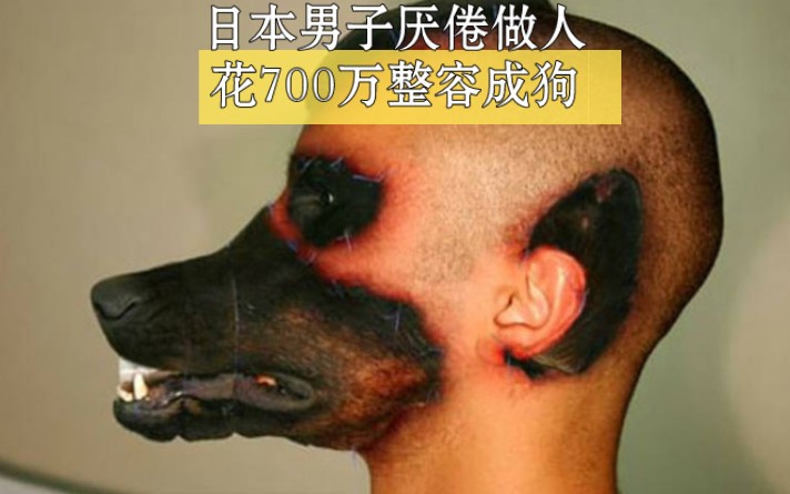 日本男子花700万把自己变成狗，只因厌倦做人，（整容界天花板） #奇葩  #奇闻趣事  #奇人异事