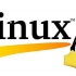Linux系统入门：小白带你玩转linux不用愁
