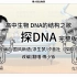 【高中生物】DNA的结构之歌《探DNA》【完整版】