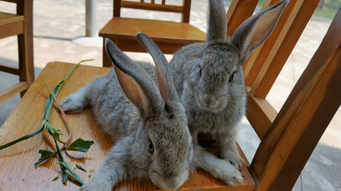 b9860a5587fe9cb30be5c7ca4efbe0e7b5851a5a.png@480w_270h_1c