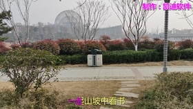 b986a2df25342c4e9b8fc359ab4a7f527c8db9b7.jpg@280w_158h_1c_100q.jpg