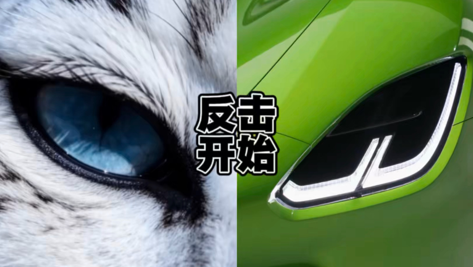 反击…开始！