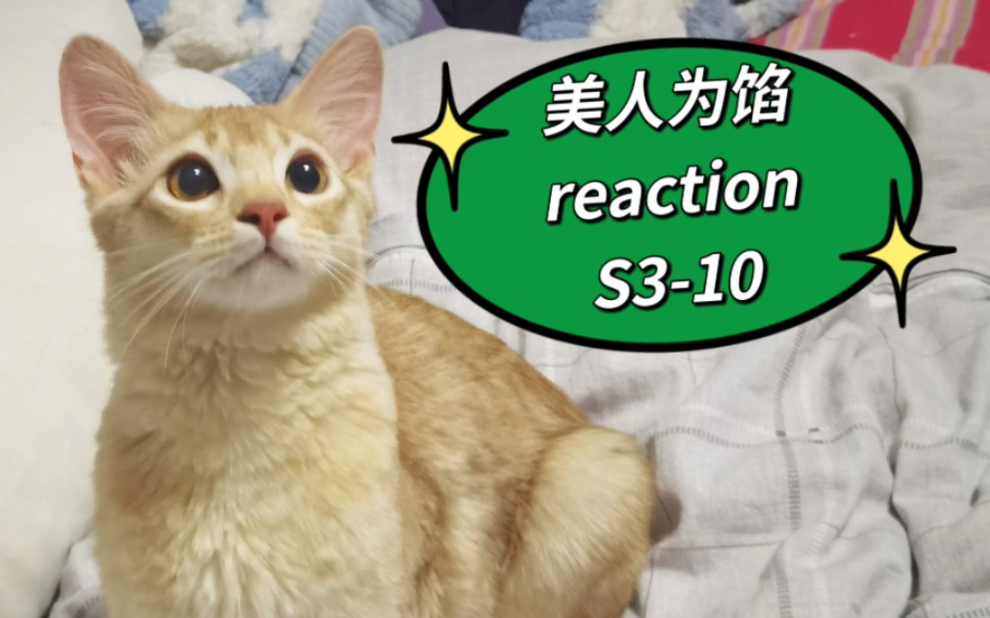 【美人weixian】reactionS3-10