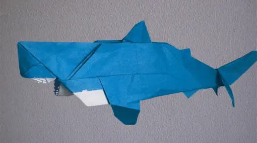 【折纸】鲨鱼 孟伟凝