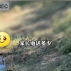 近日，黑龙江哈尔滨。两名男孩准备把猫扔湖里，被大学生厉声制止。网友：给大学生点赞