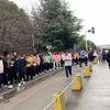 上海某电子厂，今天招了1000多名00后妹子，路上人都在看
