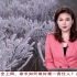 【放送文化】强寒潮来袭：广西气象台发布霜冻蓝色预警