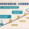 临床试验全流程