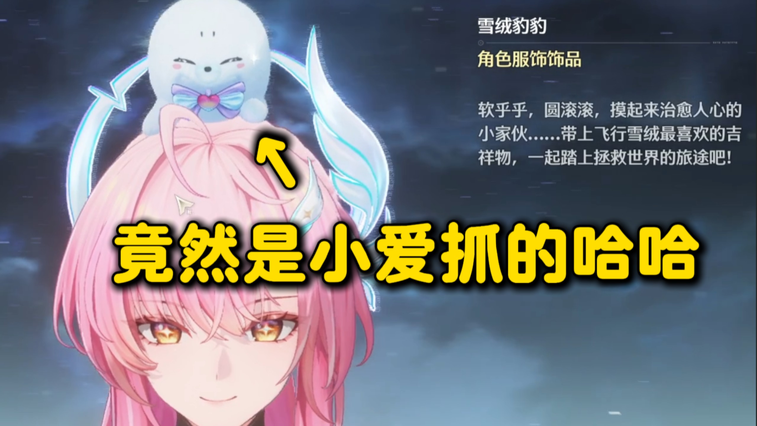 以防你不知道小爱头顶的海豹其实是自己抓来的哈哈！