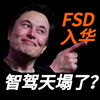 FSD突然入华！过内智驾天塌了吗