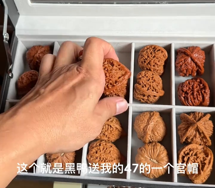 孙良轩收藏那些价值不菲的核桃