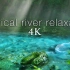 【4k】Nature Relaxation / 日本神秘清泉与环境音