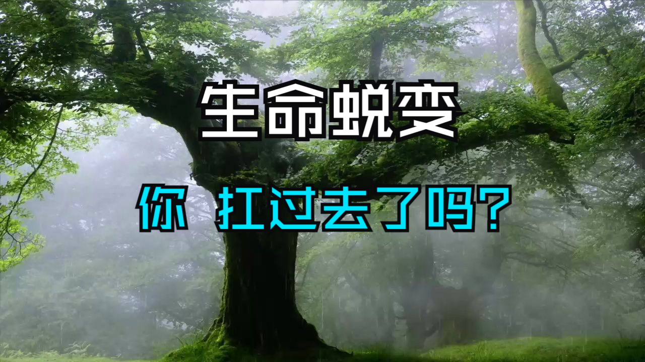 让生命蜕变的过程，你能扛住多少？