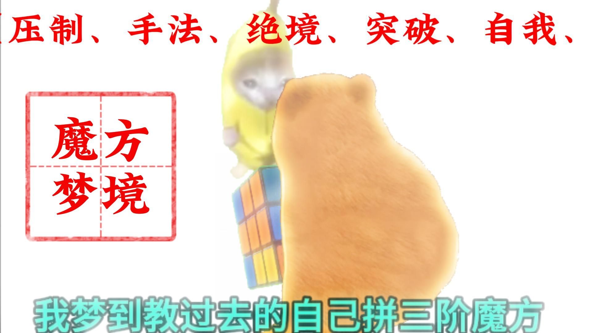 【魔方梦境】